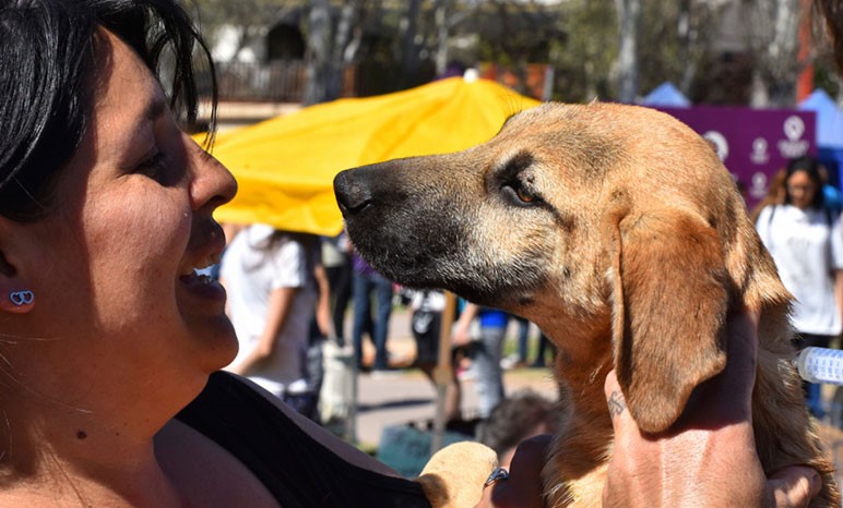 Las adopciones de mascotas vuelven este sábado al Parque Estación Benegas